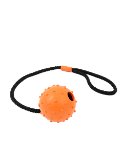 Great&Small Hondenspeelgoed Bal met Touw Natuurlijk Rubber