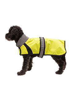Great&Small Active Reflecterende Regenjas Hond