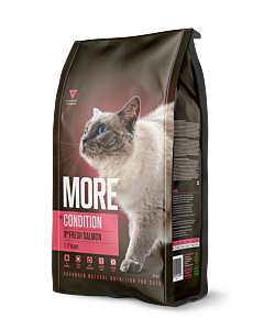 More +Condition Kattenbrokken Adult Zalm