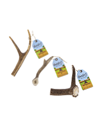 Barkie's Deer Antlers L 151-225 g