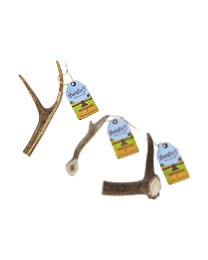 Barkie's Deer Antlers S 50-75 g