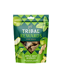 Tribal Rewards Apple, Mint & Ginger 125 g