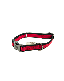 Great&Small Active Halsband Hond Neopreen Rood