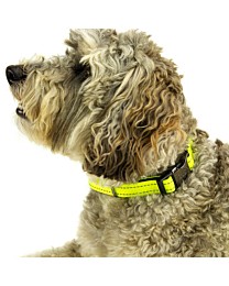 Great&Small Active Halsband Hond Neopreen Fluo Geel