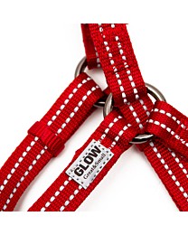 Great&Small Glow Reflecterende Harnas Hond Rood