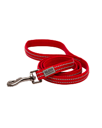 Great&Small Active Dog Lead Red