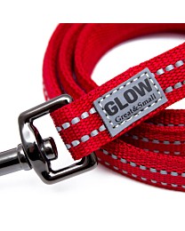 Great&Small Active Dog Lead Red