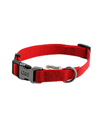 Great&Small Classic Dog Collar Red