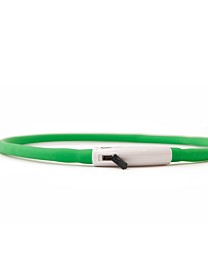 Great&Small Glow Verlichte Halsband Hond LED Oplaadbaar Groen