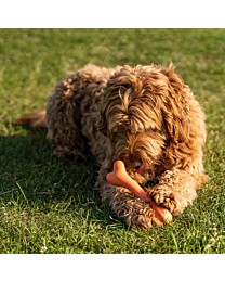 Great&Small Hondenspeelgoed Been Natuurlijk Rubber 20 cm