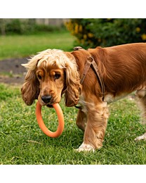 Great&Small Hondenspeelgoed Ring Natuurlijk Rubber 15 cm