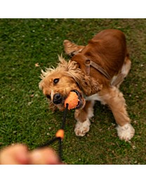 Great&Small Hondenspeelgoed Bal met Touw Natuurlijk Rubber