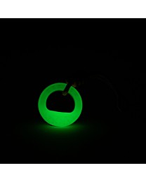 Great&Small Hondenspeelgoed Glow in the Dark Ring & Touw 20 cm