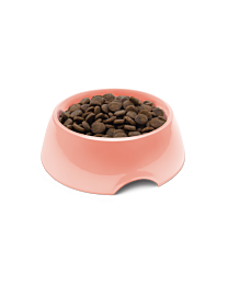 Symply Dry Dog Food Adult Salmon