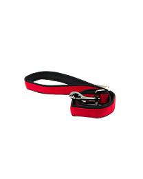 Great&Small Active Leiband Hond Neopreen Rood