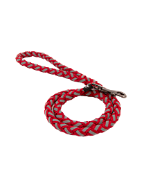 Great&Small Glow Gevlochten Leiband Hond Rood 100 cm