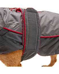 Great&Small Active Reflecterende Regenjas Hond Rode Bies