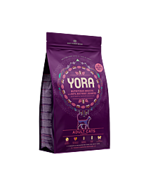 Yora Kattenbrokken Adult Insecten