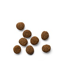 Yora Kattenbrokken Adult Insecten