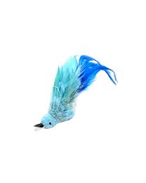 Tabby Tiger Blue Tit