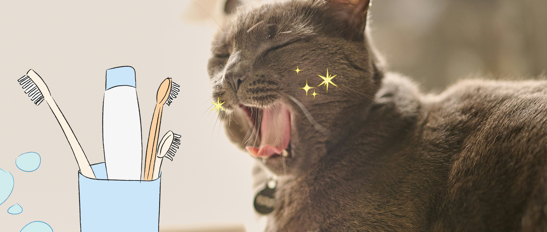 C&D - Een stralend gebit voor jouw hond of kat